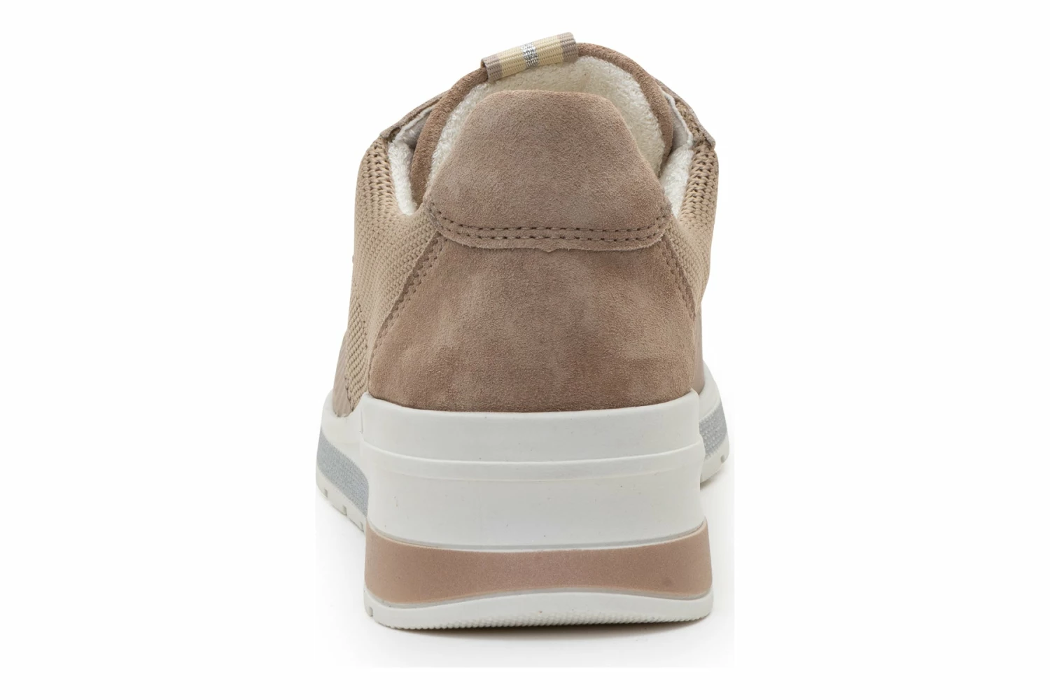 Ara Nassau 7 Ara Nassau - Image 5