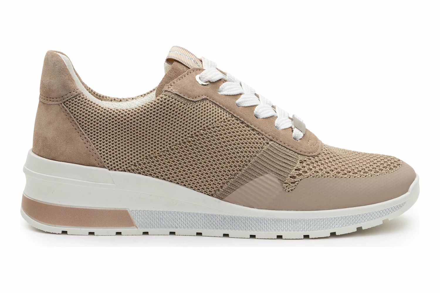 Ara Nassau 9 Ara Nassau - Image 7