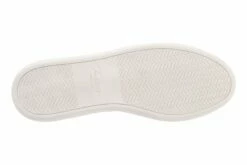 Accent -THE WALKING COMPANY Sales 3510 00749 6000 590 3