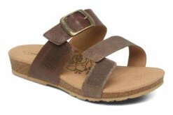 Daisy -THE WALKING COMPANY Sales 3610 00112 2540 030 7