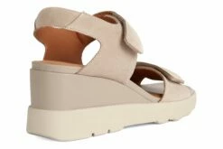 Geox Spherica Ec6 -THE WALKING COMPANY Sales 3610 00313 3230 027 6