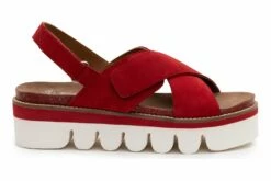 Ara Flagstaff -THE WALKING COMPANY Sales 3610 01017 6806 080 7