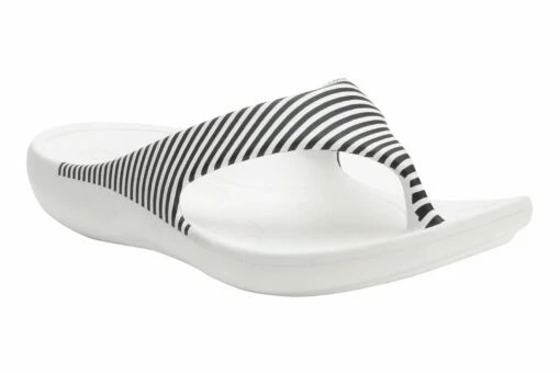 Ode -THE WALKING COMPANY Sales 3610 01351 2133 091 1