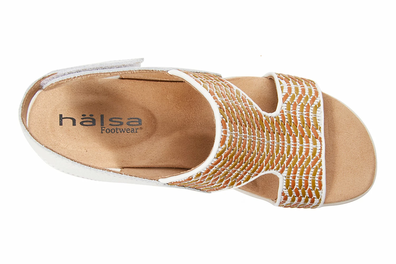 Coral 4 Coral - Image 2