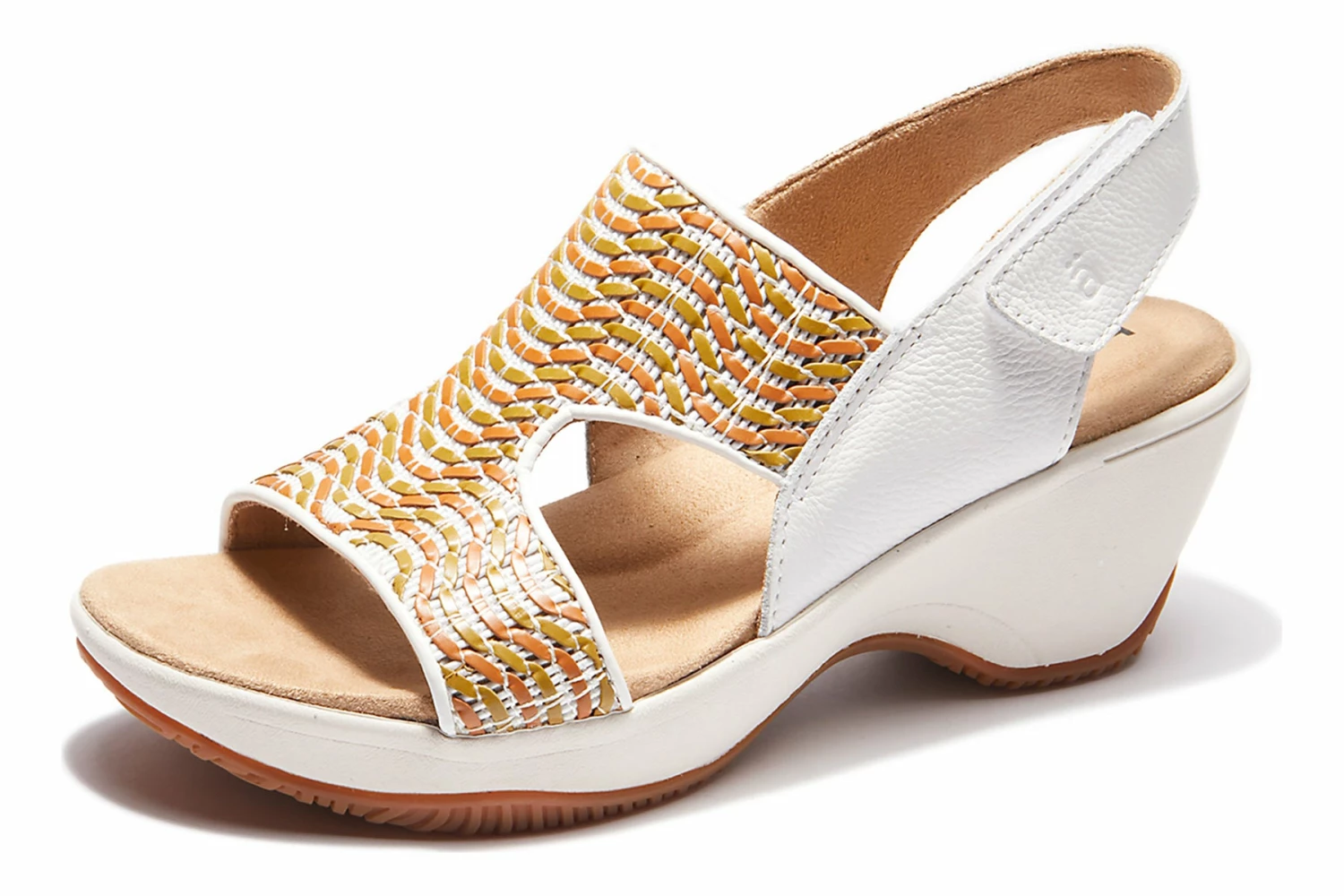 Coral 6 Coral - Image 4