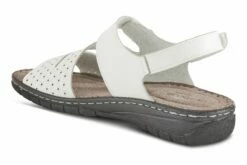 Harinna -THE WALKING COMPANY Sales 3610 01492 2317 090 5