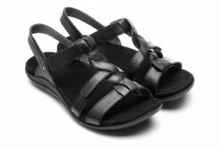 Bea -THE WALKING COMPANY Sales ABEO Bea TWC March 2021 308