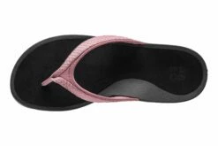 Front Page -THE WALKING COMPANY Sales Abeo Alea Rose 2