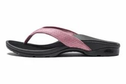 Alea -THE WALKING COMPANY Sales Abeo Alea Rose 8