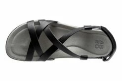 Front Page -THE WALKING COMPANY Sales Abeo Bella Black 2 f918897d 41a6 422f 936f b93c4c7b284a