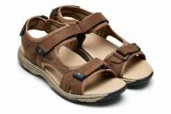 Genna -THE WALKING COMPANY Sales Abeo Genna Brown 7 33dccdae fb75 4976 b1ad 69eff22a33c5