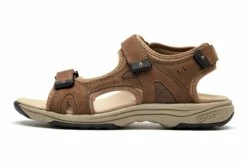 Front Page -THE WALKING COMPANY Sales Abeo Genna Brown 8 41a654ab 4d96 4b21 b2f9 39b5d60db877