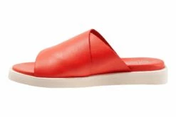 Kara -THE WALKING COMPANY Sales S2209 600 inside