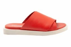 Kara -THE WALKING COMPANY Sales S2209 600 outside