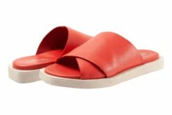 Kara -THE WALKING COMPANY Sales S2209 600 pair