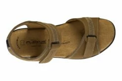 Danila -THE WALKING COMPANY Sales Zoom b77d1359 b002 4aa0 a253 4ae9c357ebca